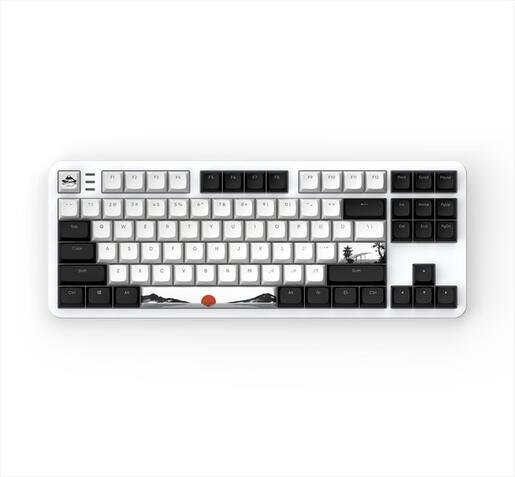 KEYBOARD MECHANICAL DARK PROJECT 87 FUJI V2 (Metal Skeleton) TKL RGB linear G3ms Sapphire switch ANSI layout