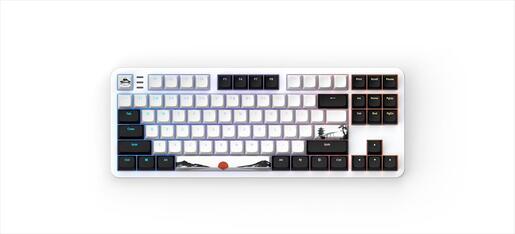 KEYBOARD MECHANICAL DARK PROJECT 87 FUJI V2 (Metal Skeleton) TKL RGB linear G3ms Sapphire switch ANSI layout