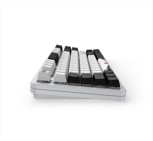 KEYBOARD MECHANICAL DARK PROJECT 87 FUJI V2 (Metal Skeleton) TKL RGB linear G3ms Sapphire switch ANSI layout