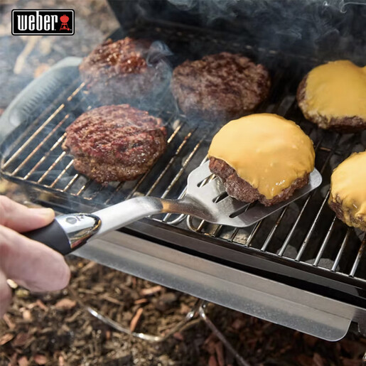 Weber Go-Anywhere® – Жар скара за носење