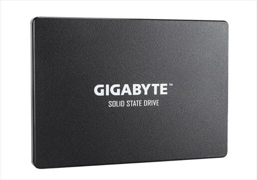 SSD 2,5" 1TB GIGABYTE  550/500 MB/s, GP-GSTFS31100TNTD