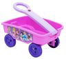 Kolica plastična Princess