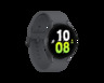 Samsung Watch5 44mm SM-R910NZAAEUC Graph