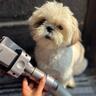 Dyson Pet grooming kit додаток за домашни миленици