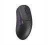 MOUSE WIRELESS USB DARK PROJECT NOVUS PRO, 26000 CPI, glides, 48 g, 8K 2.4GHz USB Receiver, DPP_Novus_PRO_BB