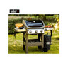 WEBER SPIRIT II E-310 GBS СКАРА НА ГАС