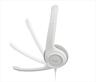 HEADPHONES LOGITECH H390 USB White w/Microphone 981-001286