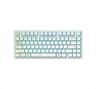 KEYBOARD MECHANICAL DARK PROJECT ALU81A TERRA NOVA WHITE HS RGB linear mechanical switches G3ms Moonstone- Pre-lubed, wireless (BT/2,4g),+4 switch ANSI layout