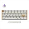 KEYBOARD WIRELESS MECHANICAL KEYCHRON K2 HE Special edition, HS, RGB LED 75% Gateron Double-Rail Magnetic Switch, OSA PBT, White, K2H-Q1