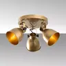 521SHN3526 Лустер Spotkafası - 13789