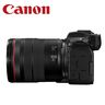 CANON MIRR EOS R6III 24-105mm f/4 L фотоапарат