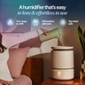 Blueair DreamWell™ H76i Grey Навлажнувач