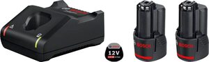 Bosch Professional 2x GBA 12V 2,0Ah + GAL 12V-40 starter set