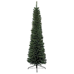 Jelka Pencil Pine, visina 300cm (68.0064)