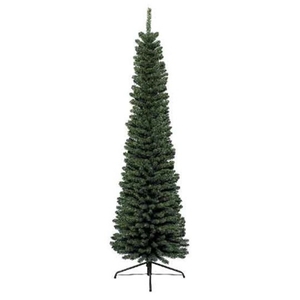 Jelka Pencil Pine, visina 240cm (68.0063)
