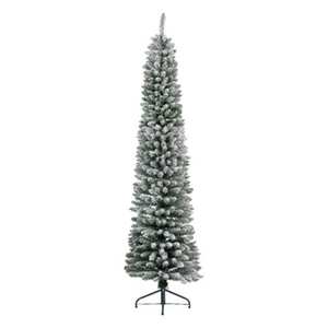 Jelka Pencil pine snowy, visina 300cm (68.4024)