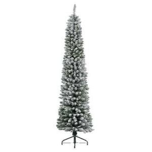 Jelka Pencil pine snowy, visina 150cm (68.4020)