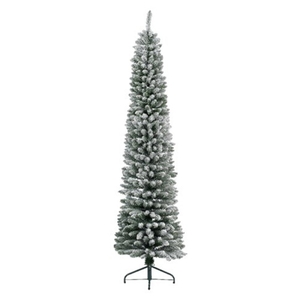 Jelka Pencil pine snowy, visina 240cm (68.4023)