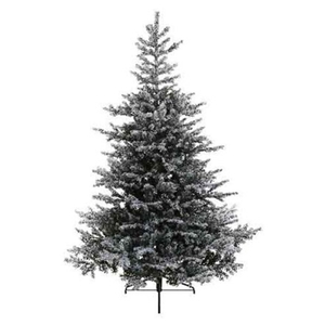 Jelka Grandis fir snowy, visina 180cm (68.9761)