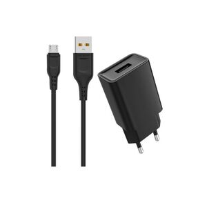 DENMEN DC01V Punjač za mobilne 2,4A + Micro USB kabl bela