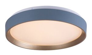 Rabalux Plafonjere Liatris2 71185