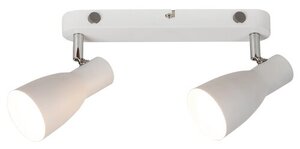 Rabalux Spot rasveta Ebony 6027