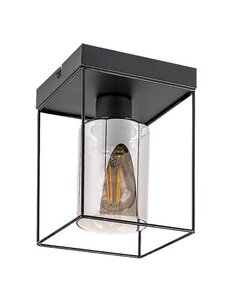 Rabalux Plafonjere Chadwick 71031