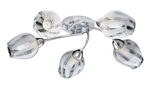 Rabalux Plafonjere Danila 2970