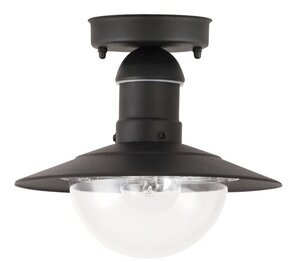 Rabalux Spoljna plafonska rasveta Oslo 8716