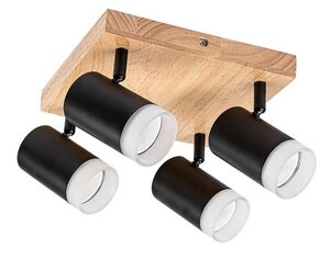 Rabalux Spot rasveta Toras 73124