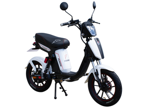 Eb-fusion beli SKLOPLJEN