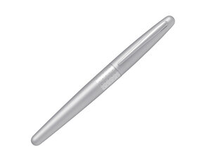 PILOT ROLER  MR URBAN EBRNI