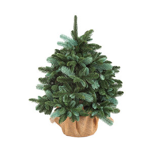 Grips Novogodišnja jelka Alpi 3D 80 cm