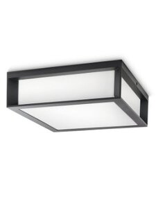 Philips PH066 spoljašnja zidna - plafonska svetiljka Skies max 2x42W 230V antracit