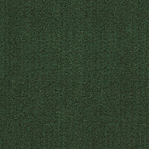 Tepih Greenland TPP54 1X2 1I