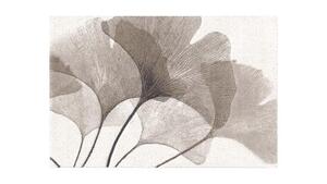 Tepih Vegas Home 1,60X2,30 L 21EBW 1K