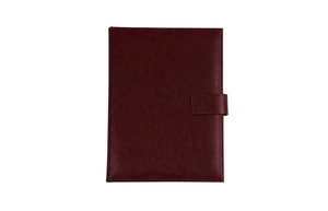 Novaskin agenda sa zlatnim mehanizmom b5 102.304.24