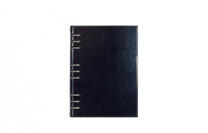 Novaskin agenda sa mehanizmom 2027 102.305.55