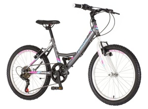 Bicikl venssini parma 20" sivi