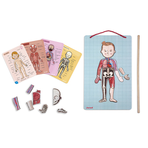 Janod Bodymagnet na 12 jezika J05491