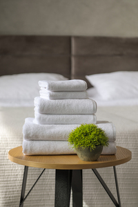 Dekordom Peškir hotel plain 500gr 20/2 - 40x70