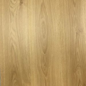 Laminat Winter 832 OAK 1S 505814004