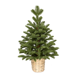 Jelka u saksiji zelena 60cm 250310