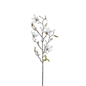 Dekordom Cvet magnolia 75cm 1009102 - white - edl