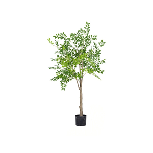 Dekordom Drvo - money tree 150cm - n60