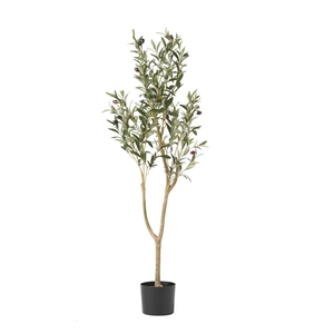 Dekordom Drvo olive 120cm - n61