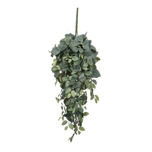 Dekordom Cvet pilea 70cm 953440 - green - edl