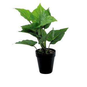 Dekordom Cvet u saksiji - taro mini - 35cm - n55