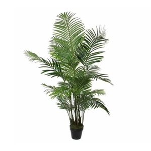 Dekordom Drvo u saksiji areca palm 160cm 1026427 - edl