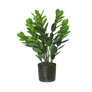 Dekordom Cvet u saksiji - money grass 9pcs - n60